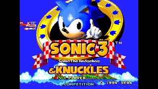 Sonic the Hedgehog 3 & Knuckles - Super Special Stage 4 (Perfect)