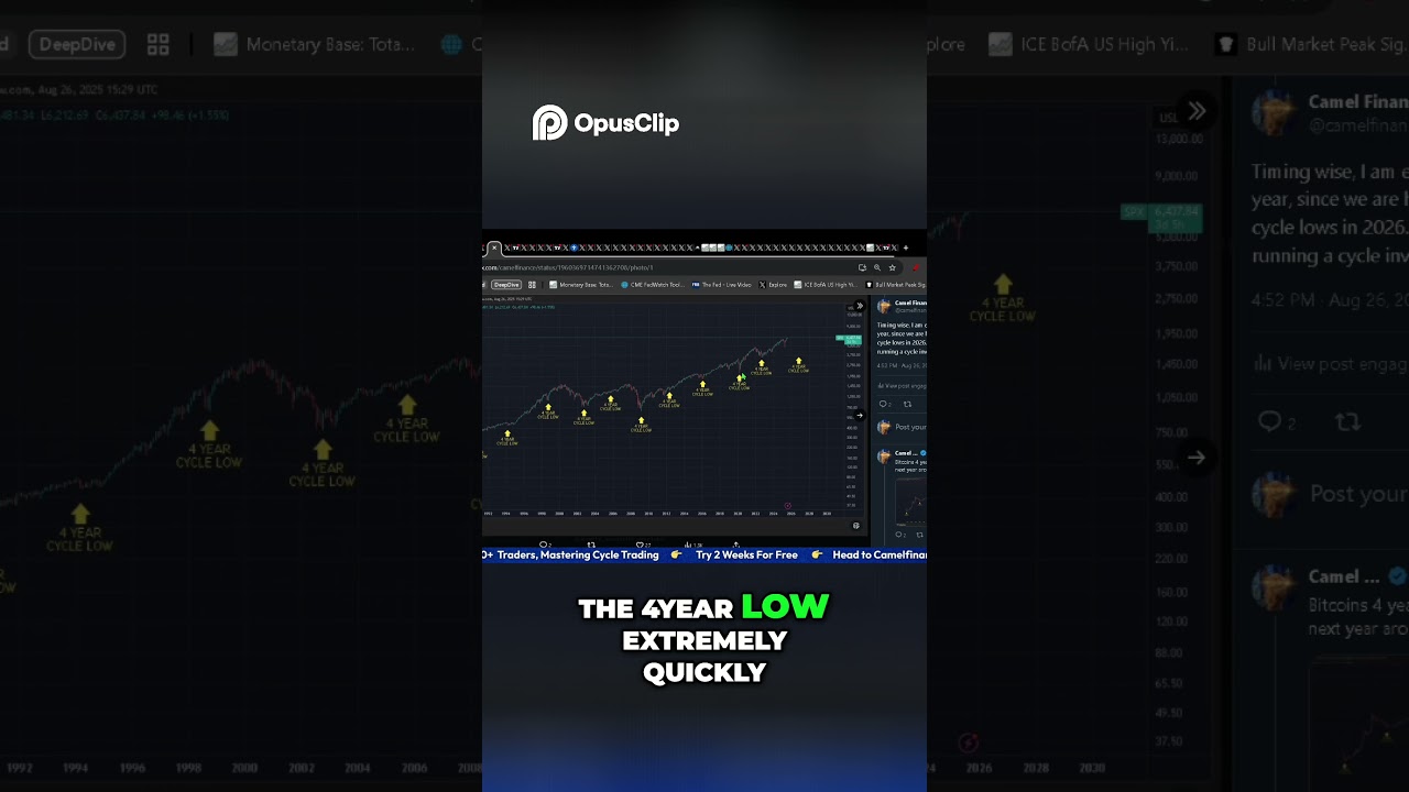 Bull Market Forecast! 6 Months Up, 6 Months Down!? 