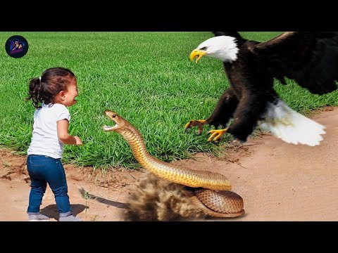 50 Hero Animals That Saved Human Lives I Best of 2025
