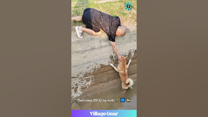 This Guy's a Dog Rescue NINJA! 🥋🧊 Muddy Pup Gets Saved Too! #dogrescue #hero #smart
