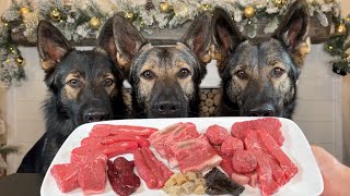 Three German Shepherds Review Raw Beef Parts (ASMR)