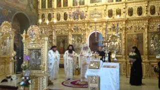 Preafericitul Părinte Patriarh Daniel la Mănăstirea Pasărea! 22.03.2015