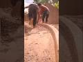🏗️ Traditional village construction