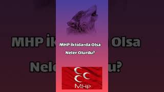 Mhp İktidarda Olsa Neler Olurdu?