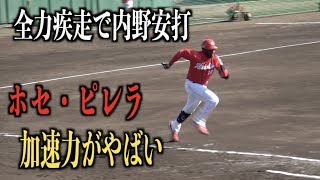 実は俊足!助っ人ではなかなか見れない全力疾走をするホセ・ピレラの内野安打【広島東洋カープ】
