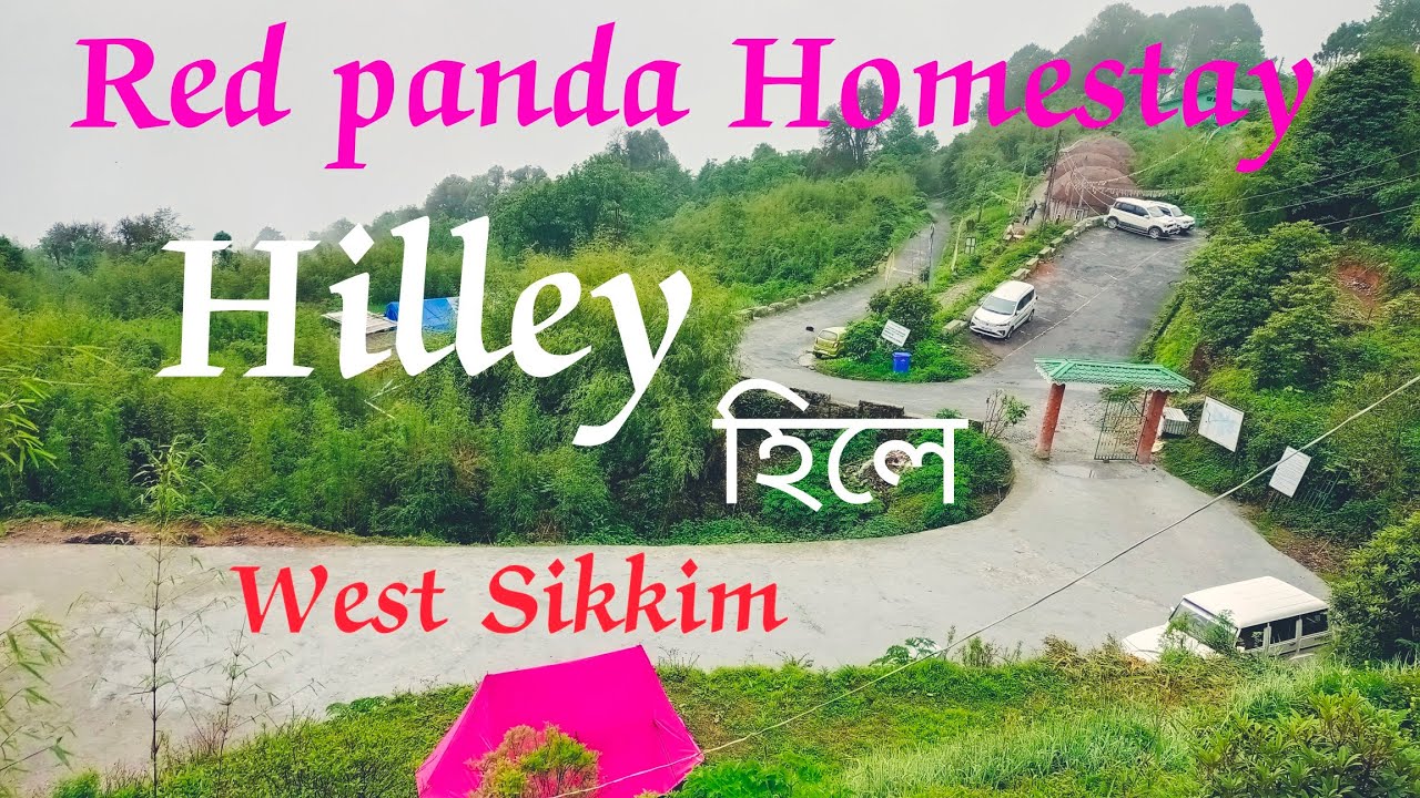 Red Panda Homestay | Hilley Homestay | Hilley~Barsey Trek | Offbeat West Sikkim | Homestay in Sikkim