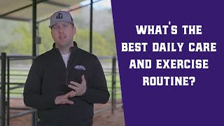 What's the Best Daily Care and Exercise Routine for My Calf?