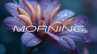 Mellow Guitar & Piano Music | Relaxing Guitar Morning Vibe ~ Acoustic Piano Guitar Vibes