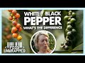 Whats the difference between black and white pepper  food unwrapped