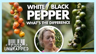 What's the difference between Black and White Pepper? | Food Unwrapped