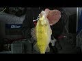 Early Ice Slough Perch - In-Depth Outdoors Season 13, Episode 3