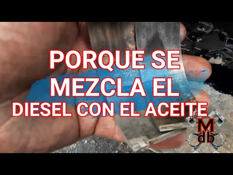 Video: ¿Es el petróleo un aceite?