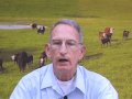 Reducing Risk of Downer Animals Reducing Risk of Downer Animals