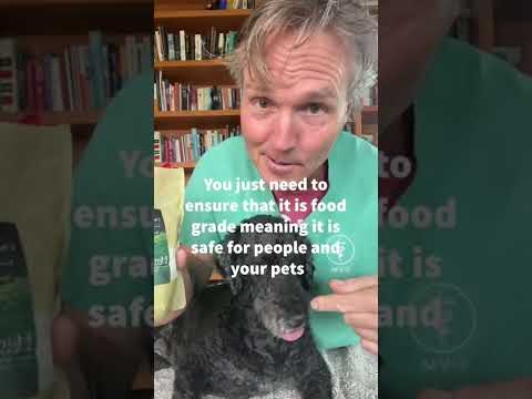 Vídeo: Como Deworm seu cão com salvaguarda