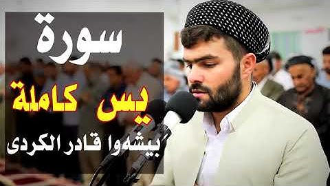 تلاوة هادئة و مريحة لِ سورة يس بصوت القارئ بيشة وقادر الكردي💙💚