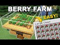 The best sweet berry farm in minecraft 120 tutorial