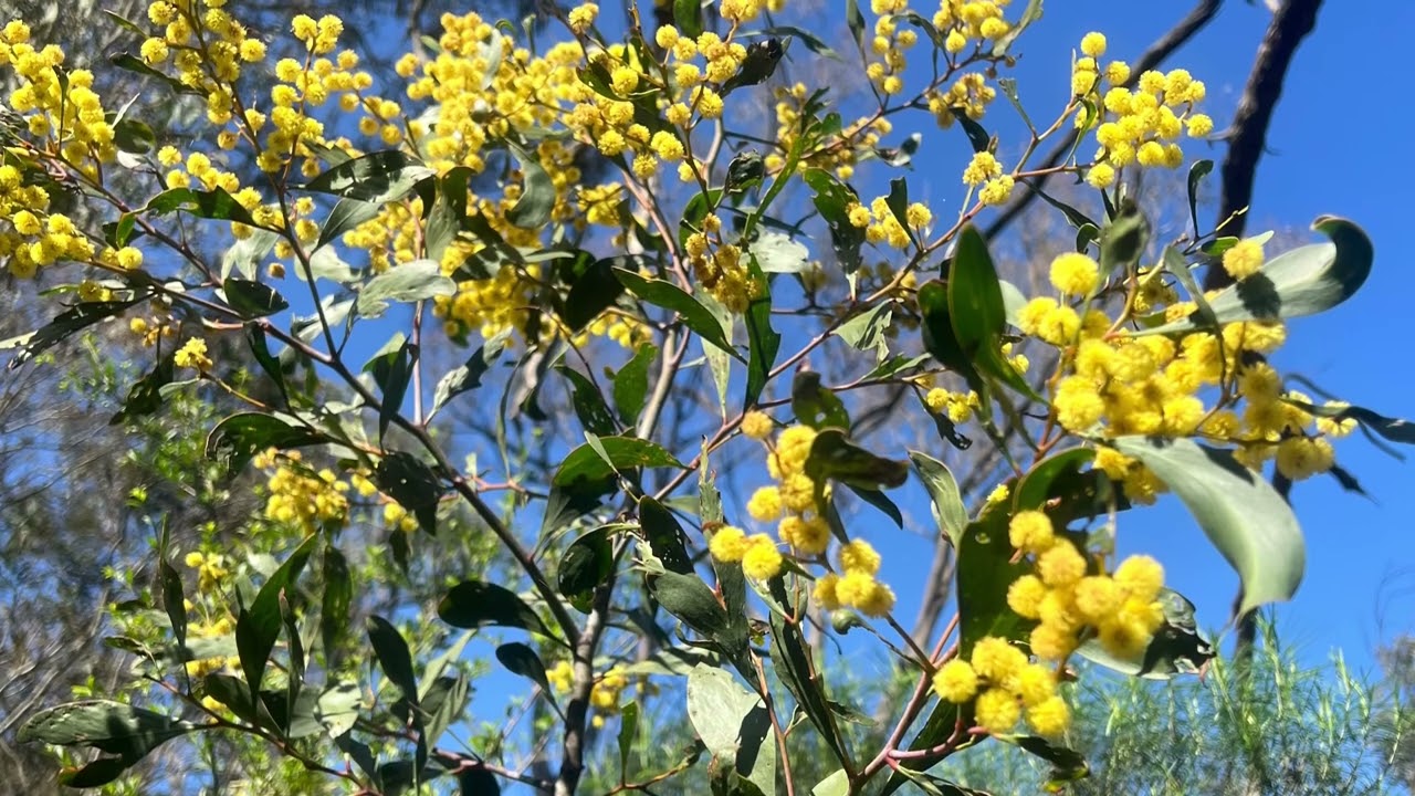 8138250 ECE2008 Assessment 2 Creative Response 