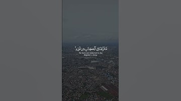 {وَمَا مِن دَآبَّةٍۢ فِى ٱلْأَرْضِ وَلَا طَـٰٓئِرٍۢ} من سورة الانعام بصوت طارق محمد