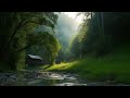 Beautiful Relaxing Music - Stop Overthinking, Stress Relief Music, Sleep Music, Calming Music #20