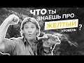 Спиральная динамика наглядно: Желтый уровень. Людмила Морозова