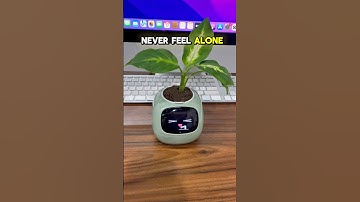 Smart planter to accompany work - Revolutionize Your Gardening with the Smart Planter ! 🌱🤖