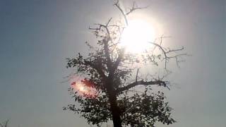 Video thumbnail of "Travka - Soare rasare"