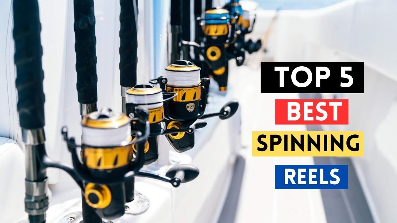 Best Spinning Reels : Top 5 Picks For Smooth Fishing Experience On ...