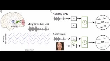 Audiovisual Speech Perception Soundbite