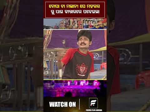ବୋପା ଟା ମଲାନୀ ଯେ ମହାରଗ ରୁ ଯାଇ କାନ୍ତାରରେ ପକେଇଲା ll FOCUS PLUS ||