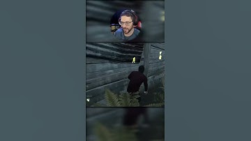 The Fake Window Fake