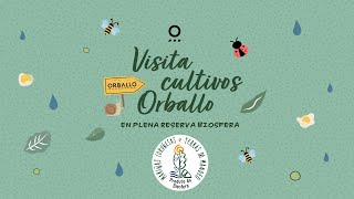 Visitas a plantación de té ecológico en Galicia (Paderne)