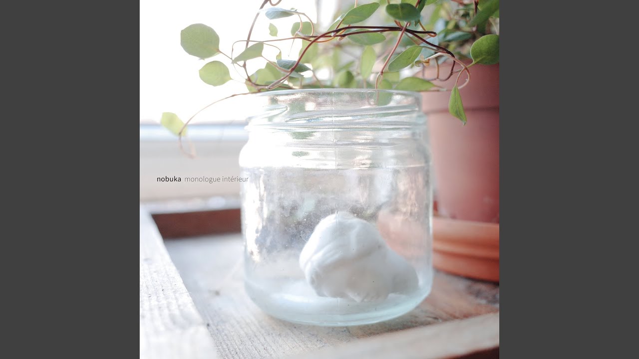 Watch snaar on YouTube Watch snaar on YouTube