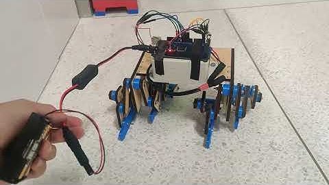 Sustech-UCI Robot Walker