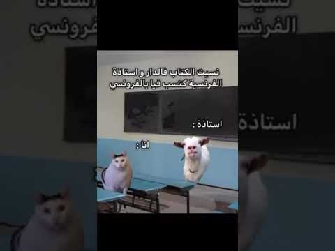 لمن تنسى كتاب الفرنسي والاستاذة تسب بيك بالفرنسي اشتراك اكسبلور