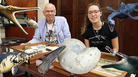 What Bit The Ammonite? Large Fossil Teeth Analysis! - Fossil Friday