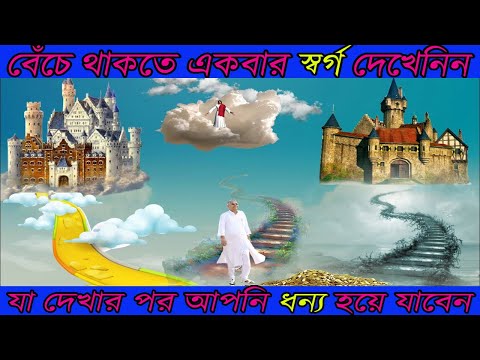 ভিডিও: 