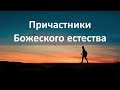 Причастники Божеского естества - Сергей Финаев