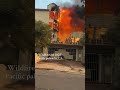 Pacific Palisades wildfire #pacificpalisadeswildfire #pacificpalisadesfire #pacificpalisades