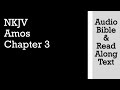 Amos 3 NKJV Audio Bible Text 