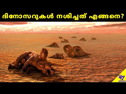 How Dinosaurs Went Extinct | ദിനോസറുകൾക്ക് സംഭവിച്ചത് എന്ത്? | Malayalam Fact Science | 47 ARENA