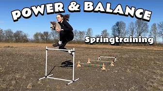 Power & Balance jumping training with Mayflower 🌸| _hobbyhorsing_de