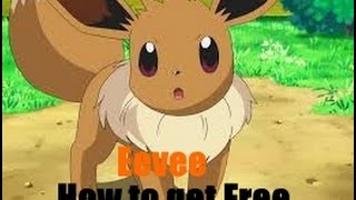 How To Get A Free Eeveepokemon Brick Bronze Pikastudio - how to get eevee in pokemon brick bronze roblox