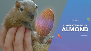 CREATING VIRTUAL ALMOND! : Assemblr
