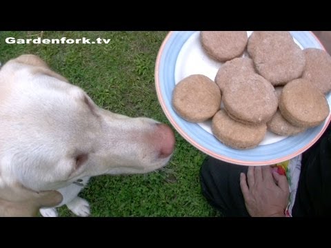 Dog Biscuit Treat Recipe - GardenFork