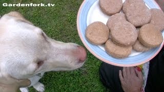 Dog Biscuit Treat Recipe - GardenFork
