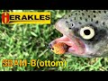 Forellenangeln mit Bottom Spoons + Gewinnspiel - HERAKLES Trout Area Germany