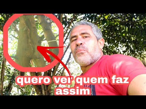 COMO FOI QUE