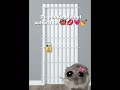 damit is meine bff joline gemeint