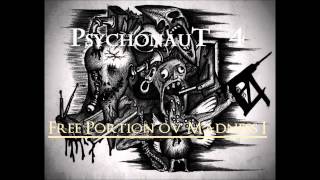Psychonaut 4 - I wanna be your dog (The Stooges Cover)