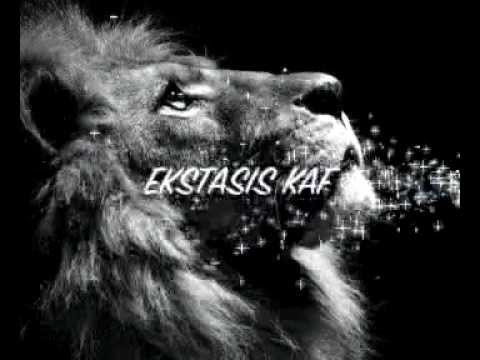 Tu sueño hecho realidad - Ekstasis Kaf